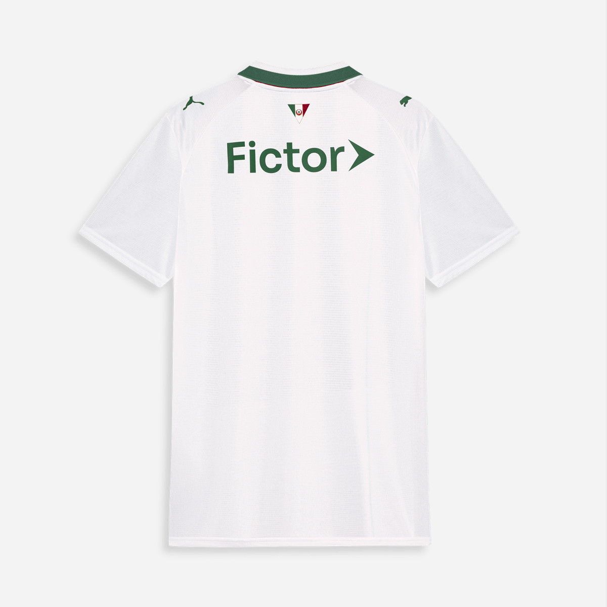 Jersey Palmeiras 2026/27 II Fan Man