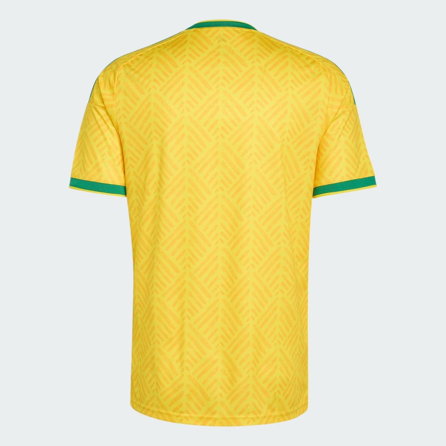 Jersey South Africa 2026 II Fan