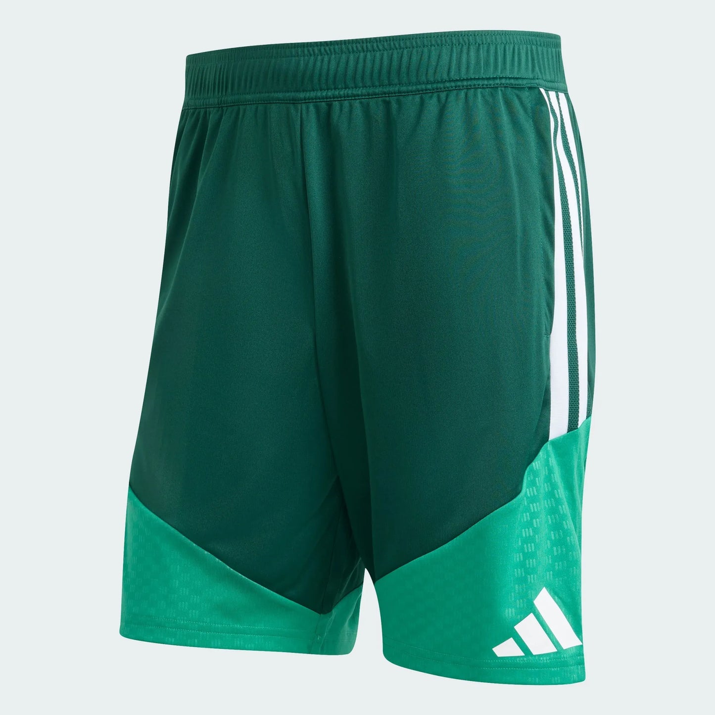 Shorts Algeria 2026 I Training World Cup