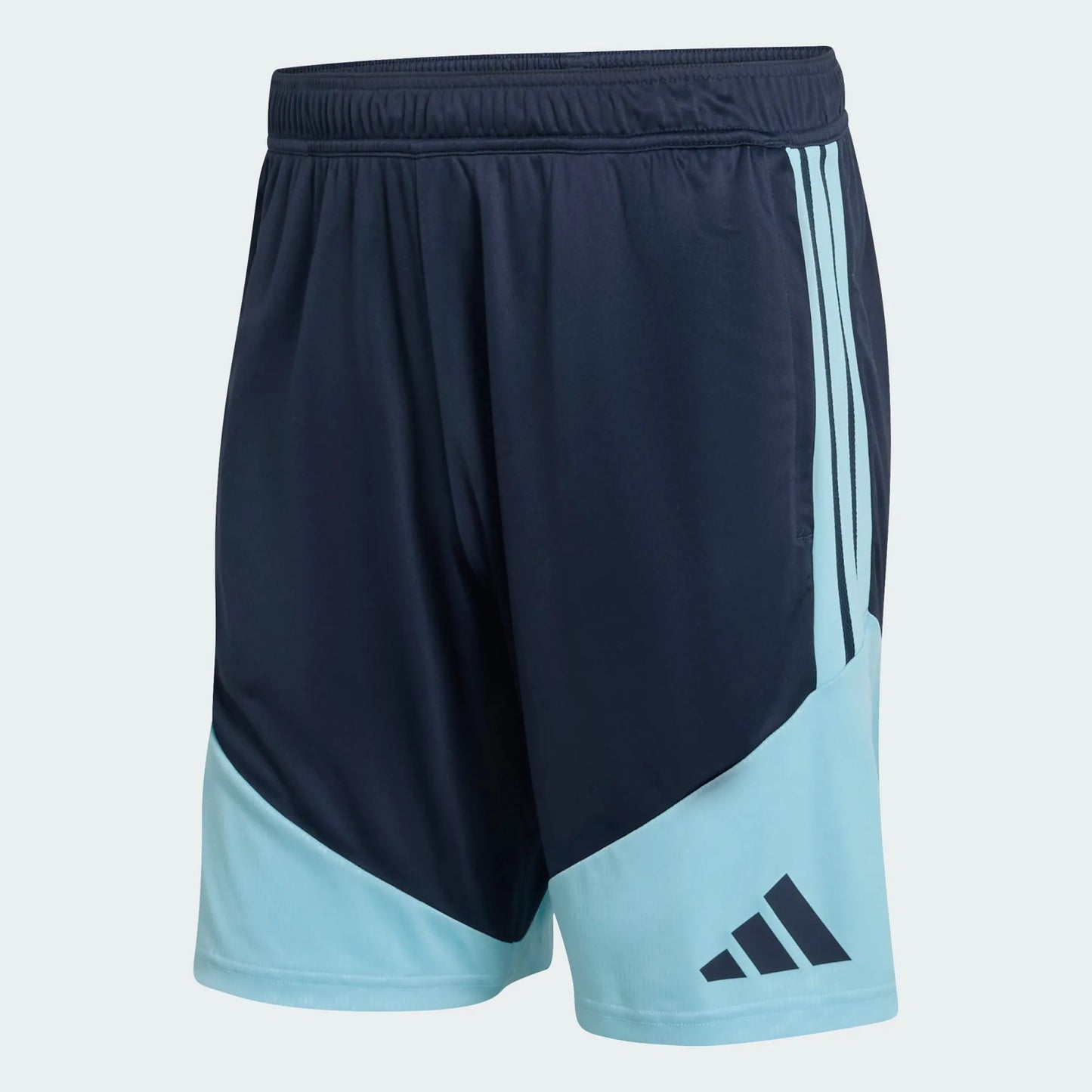 Shorts Argentina 2026 Training World Cup