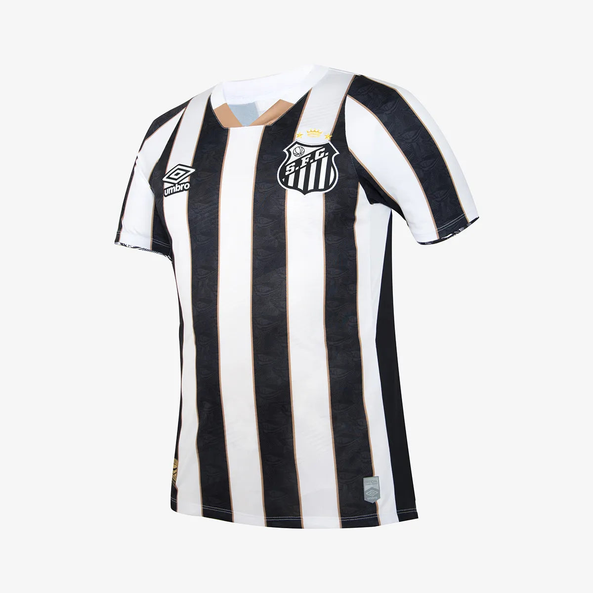 Jersey Man Santos 2024/25 II Fan Neymar Jr 10
