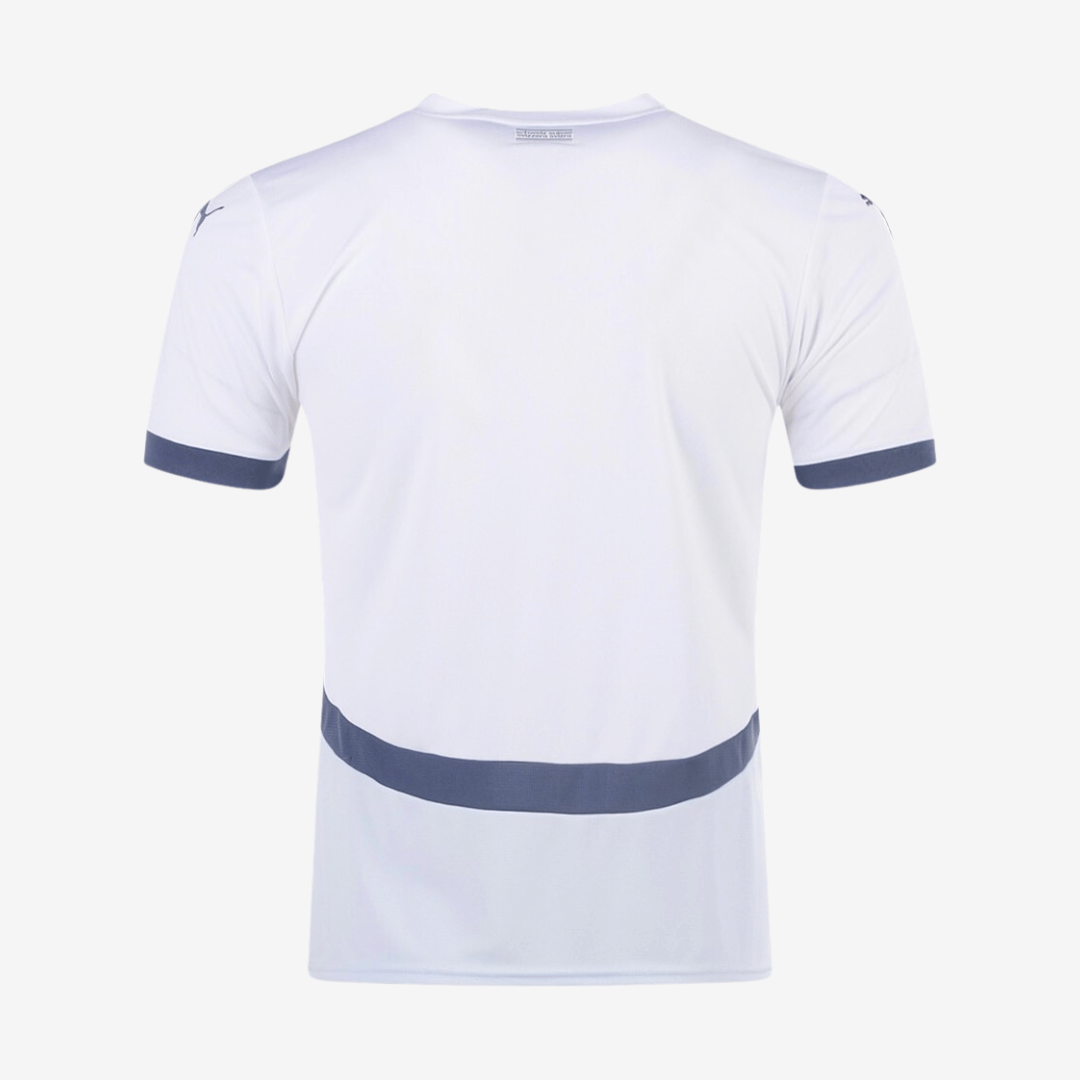 Jersey Switzerland 2024 II Fan