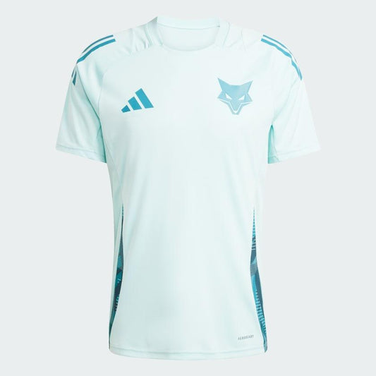 Jersey Training Cruzeiro 2025/26