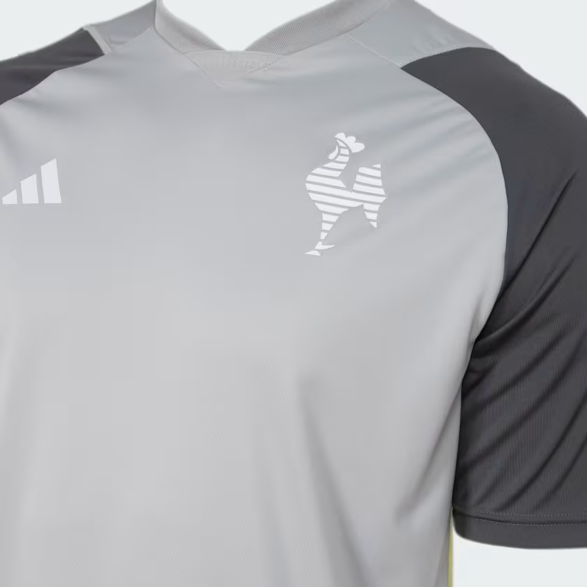 Jersey Atletico Mineiro Training 2024