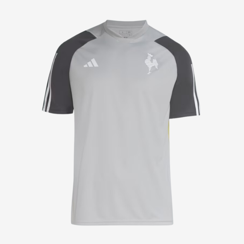 Jersey Atletico Mineiro Training 2024