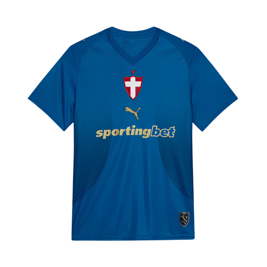 Jersey Palmeiras 2026/27 III Fan