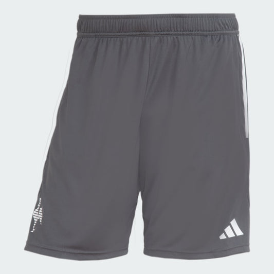 Shorts Training Atletico Mineiro 2024/25