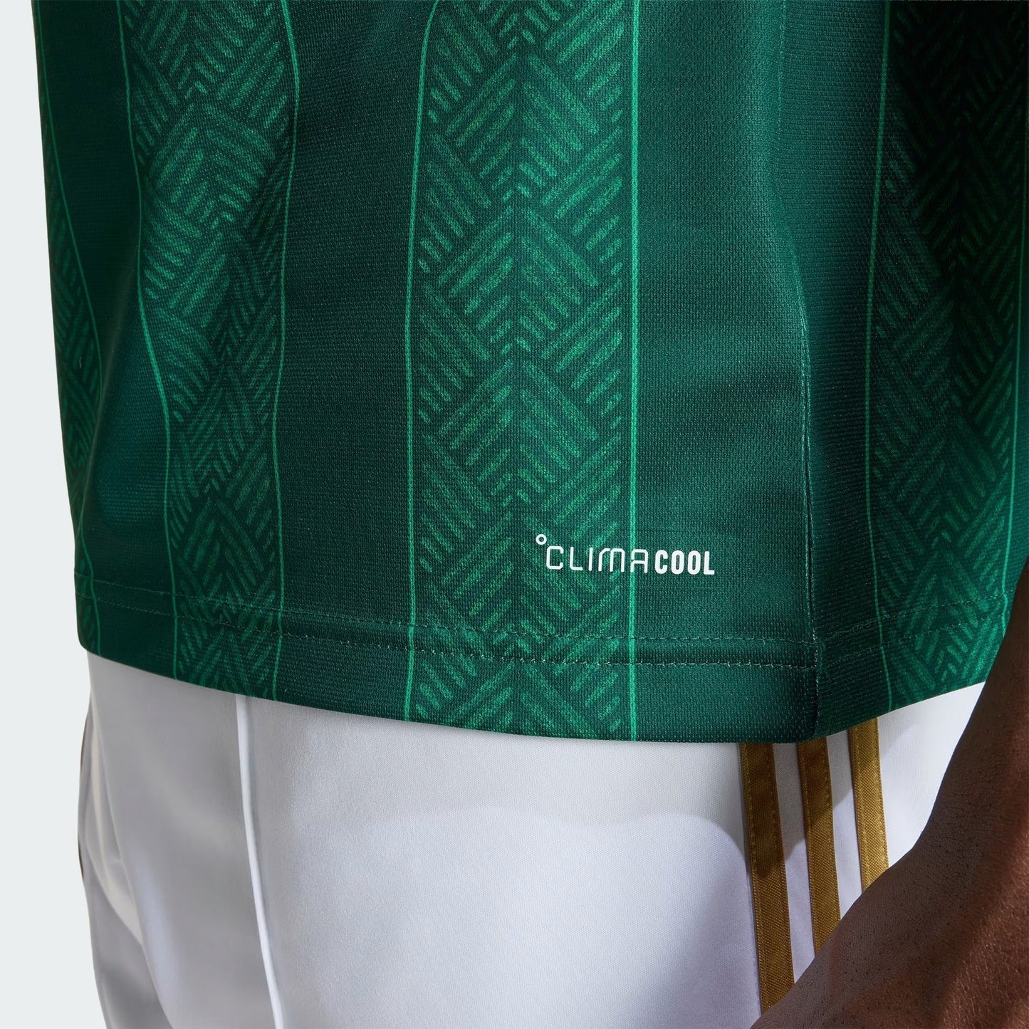 Jersey South Africa 2026 I Fan